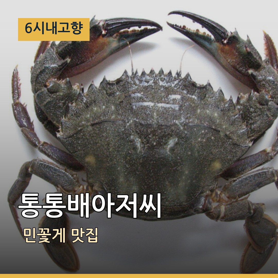 6시내고향 충남 보령 통통배아저씨 민꽃게 맛집