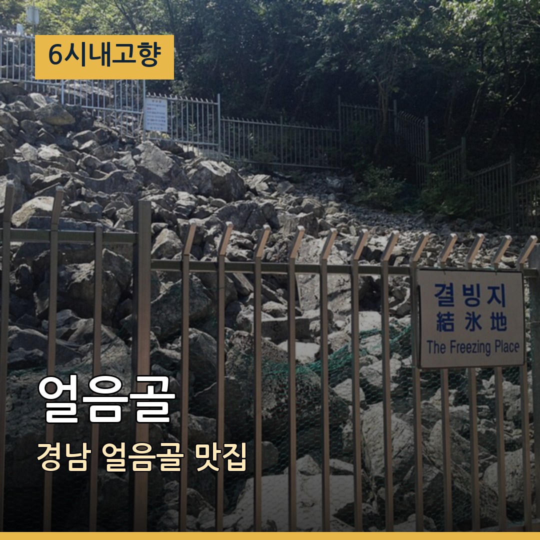 6시내고향 경남 밀양 얼음골 얼음골 맛집