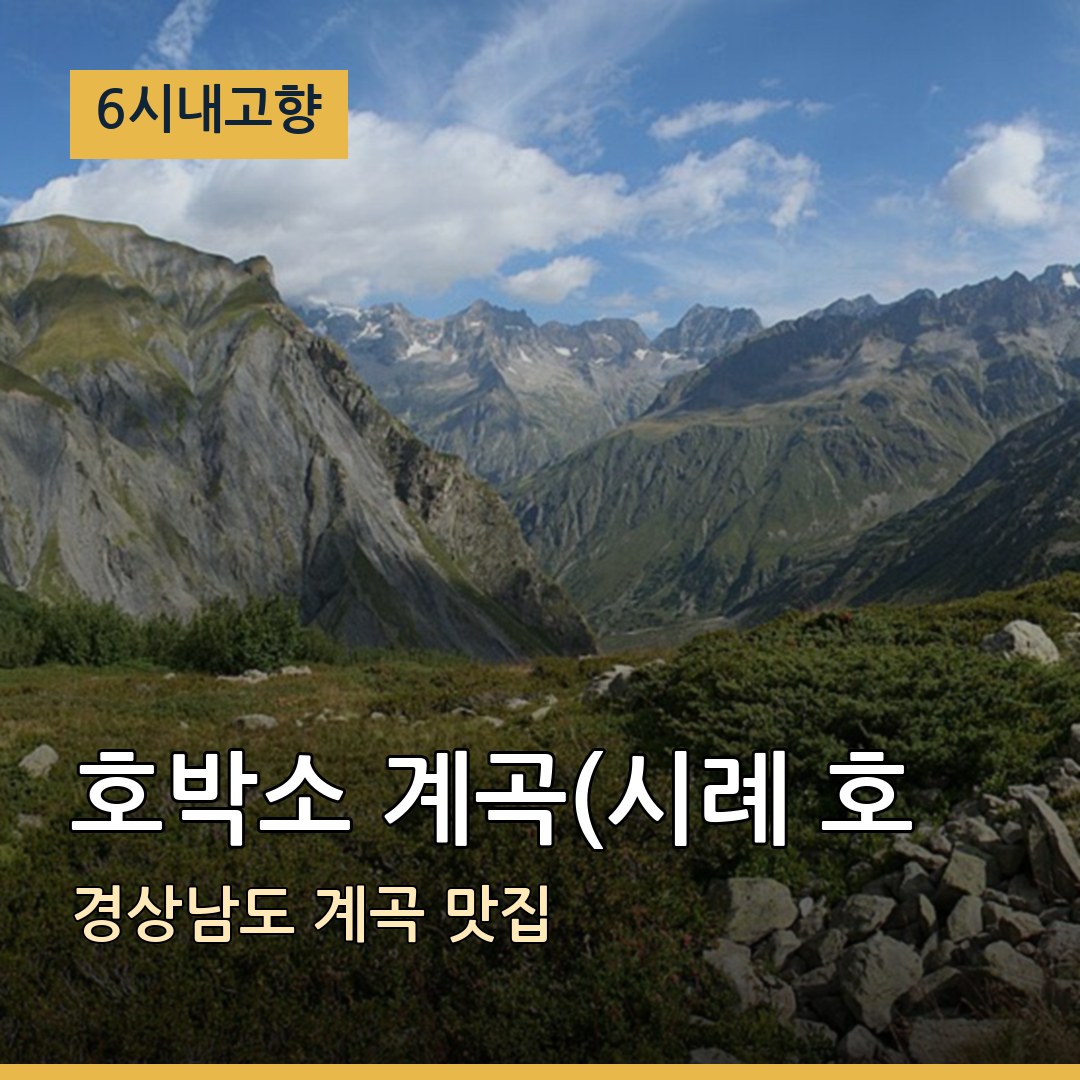 6시내고향 경남 밀양 호박소 계곡(시례 호박소) 계곡 맛집