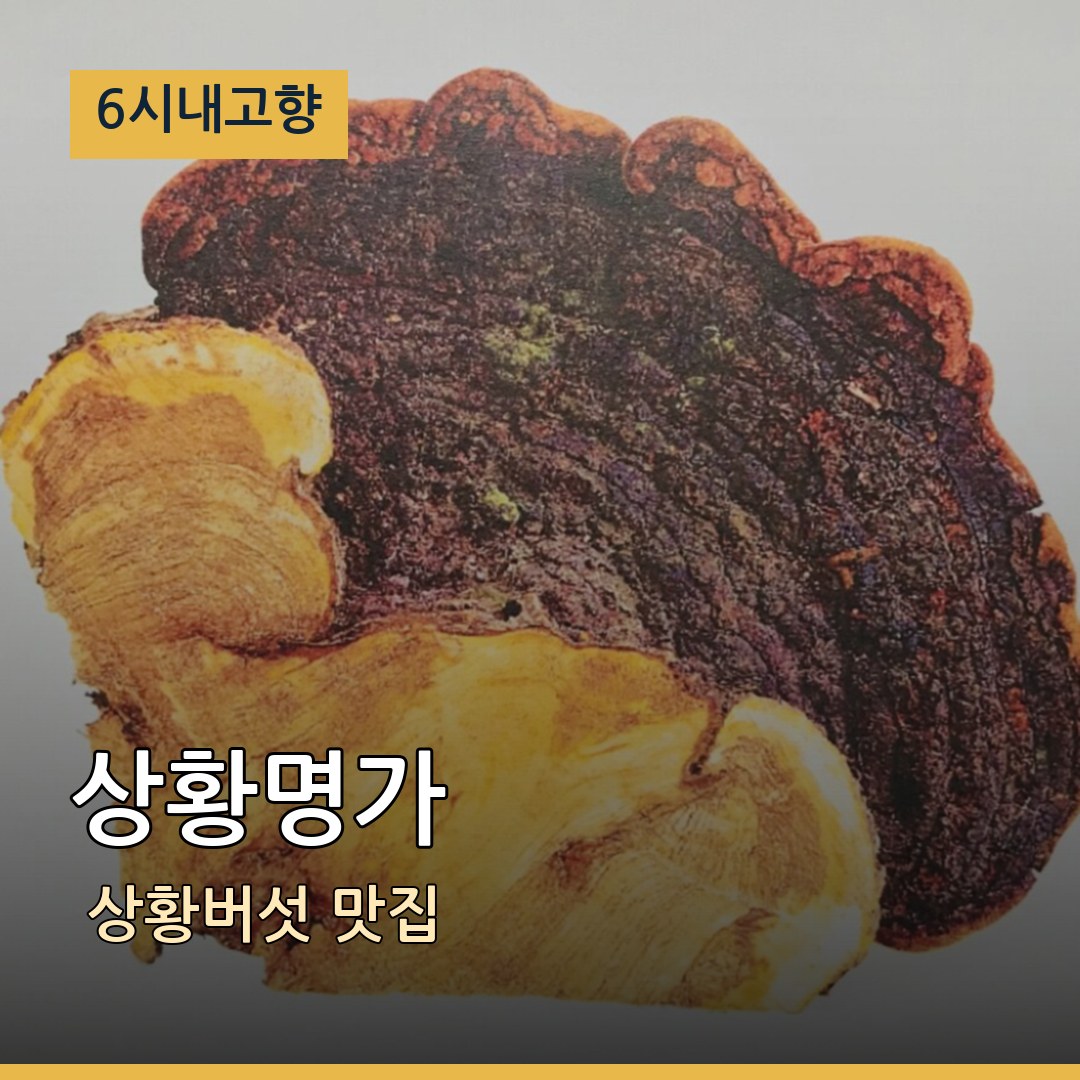 6시내고향 부산 기장 상황명가 상황버섯 맛집