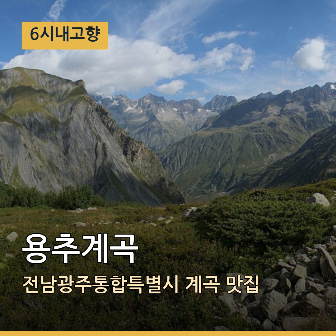 6시내고향 전남광주통합특별시 보성 용추계곡 계곡 맛집