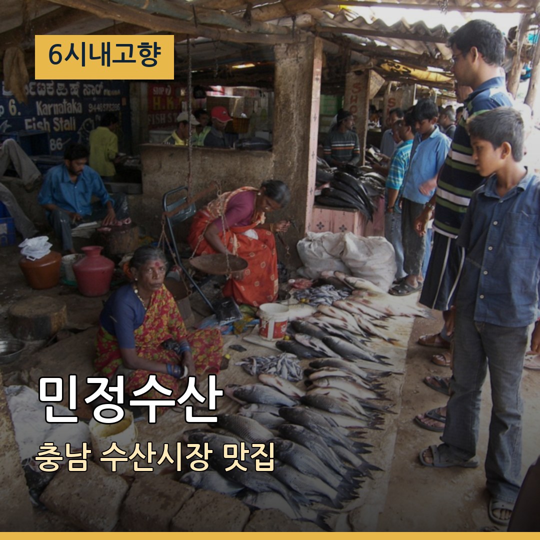 6시내고향 충남 서천 민정수산 수산시장 맛집