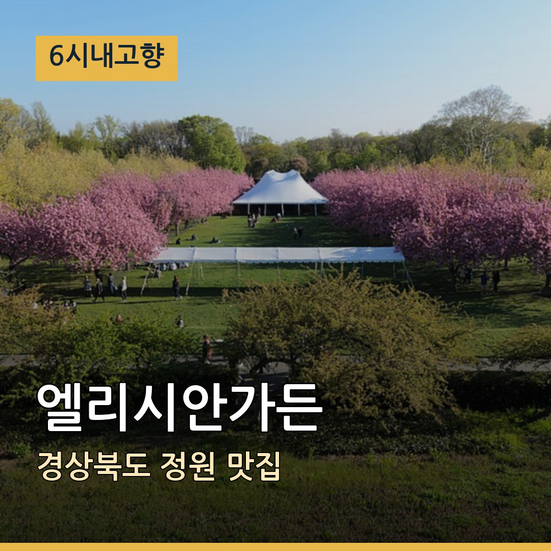 6시내고향 경북 성주 엘리시안가든 정원 맛집
