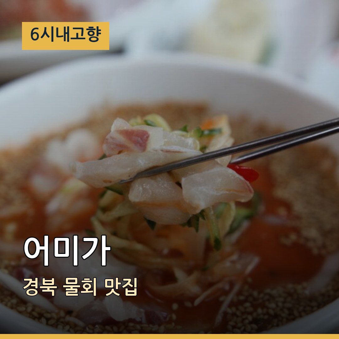 6시내고향 경북 포항 어미가 물회 맛집