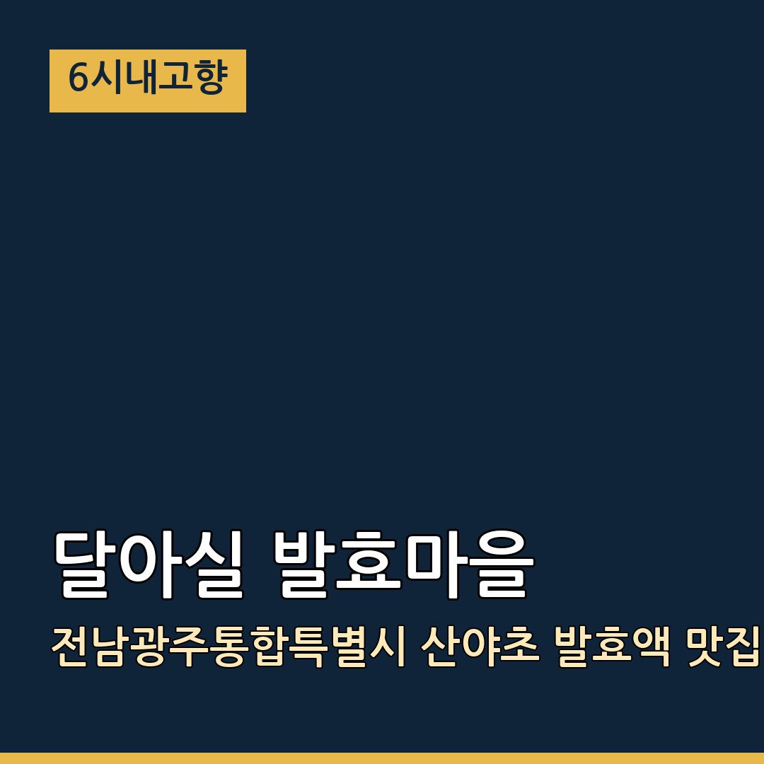 6시내고향 전남광주통합특별시 장성 달아실 발효마을 산야초 발효액 맛집
