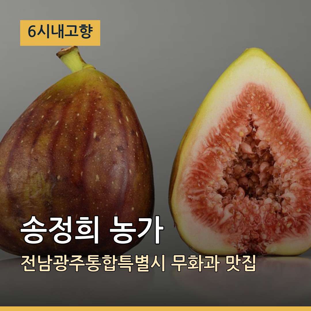 6시내고향 전남광주통합특별시 장성 송정희 농가 무화과 맛집