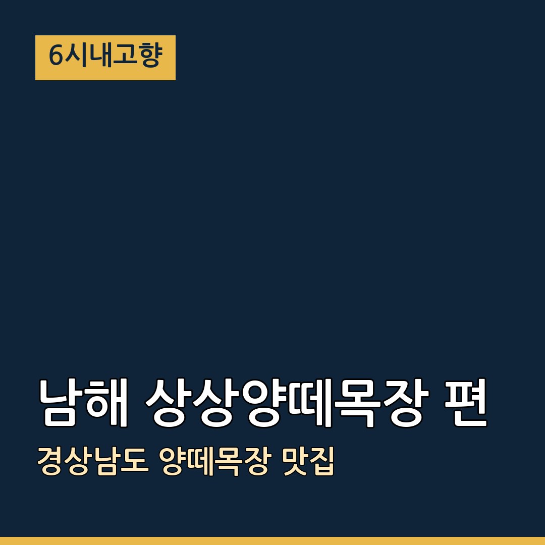 6시내고향 경남 남해 남해 상상양떼목장 편백숲 양떼목장 맛집