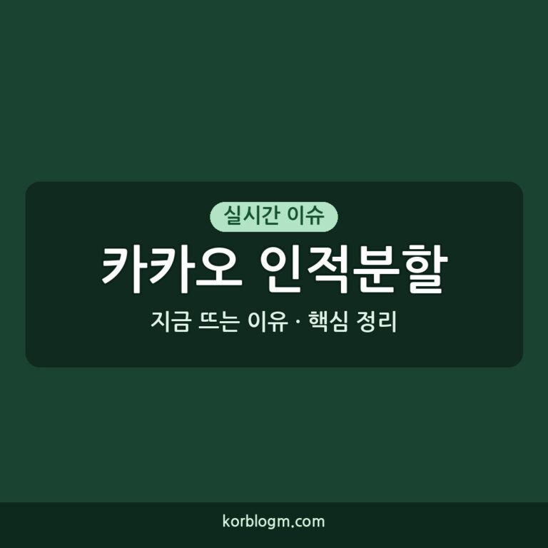 카카오 인적분할 카카오 AI 인적분할 주주총회 통과 후 최신 근황