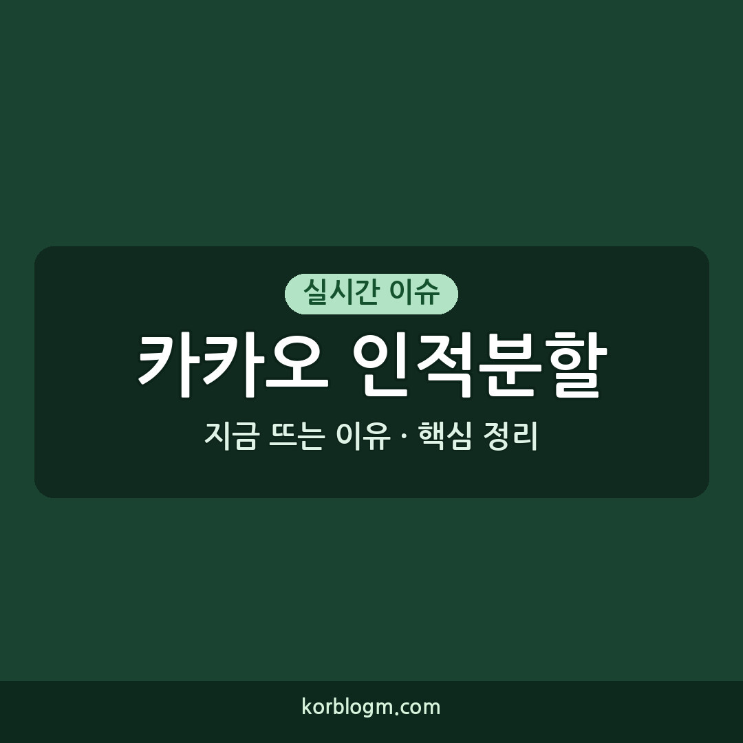 카카오 인적분할 카카오 AI 인적분할 주주총회 통과 후 최신 근황