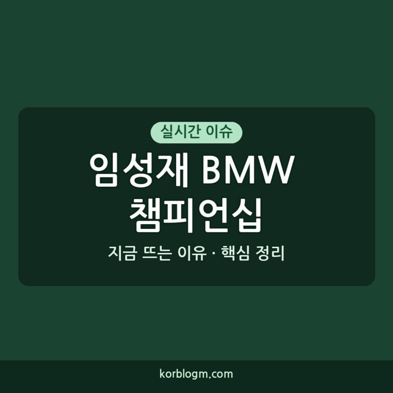 임성재 BMW 챔피언십 공동 4위, 다음 경기 페덱스컵은?