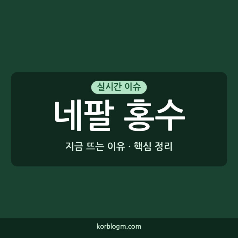 네팔 홍수 긴급회의: 구호 방안과 한국 정부 지원 근황