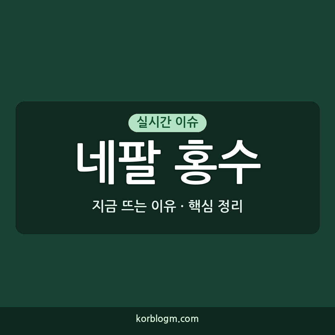 네팔 홍수 긴급회의: 구호 방안과 한국 정부 지원 근황