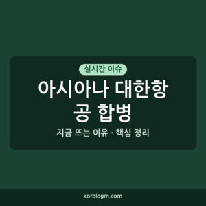 아시아나 대한항공 합병 아시아나-대한항공 합병 가결 통합 항공사 출범의