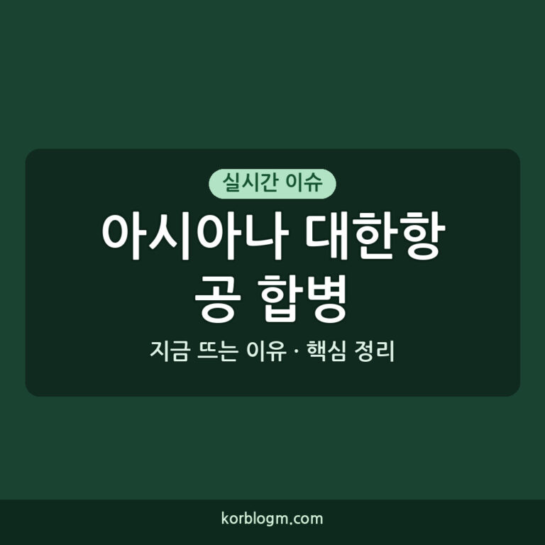 아시아나 대한항공 합병 아시아나-대한항공 합병 가결 통합 항공사 출범의