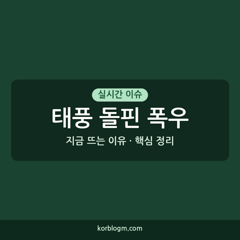 태풍 돌핀 폭우로 인한 피해 현황 및 대처 방안