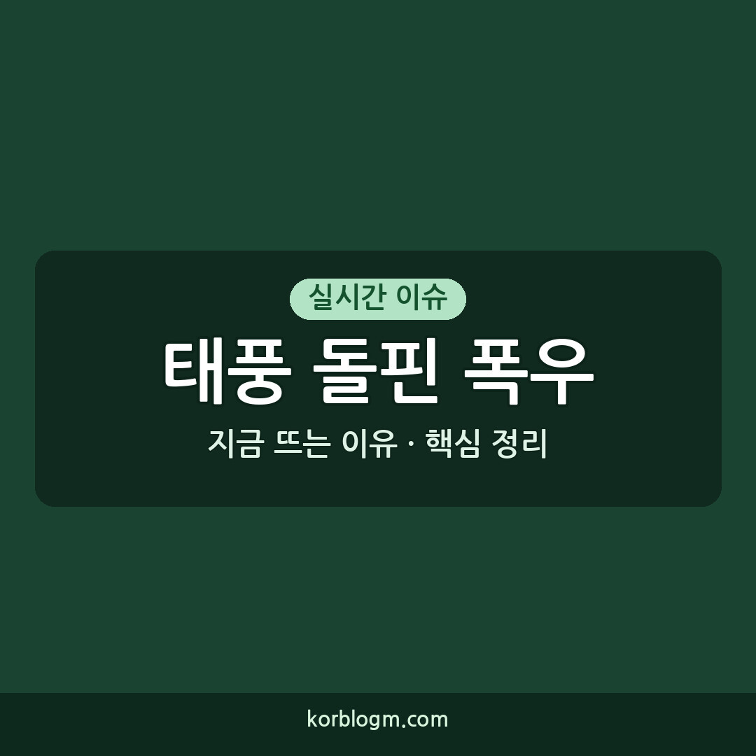 태풍 돌핀 폭우로 인한 피해 현황 및 대처 방안