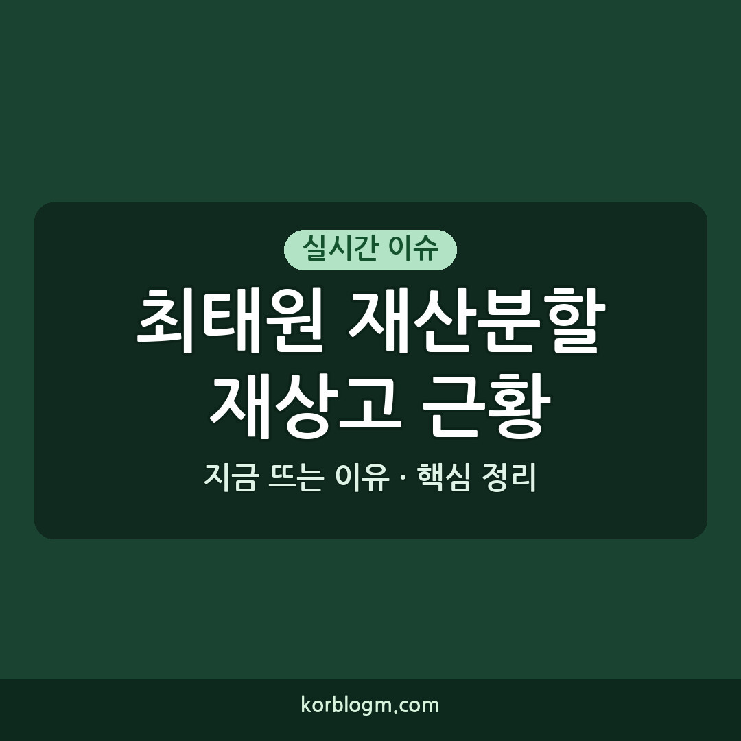 최태원 재산분할 재상고 근황 및 영향