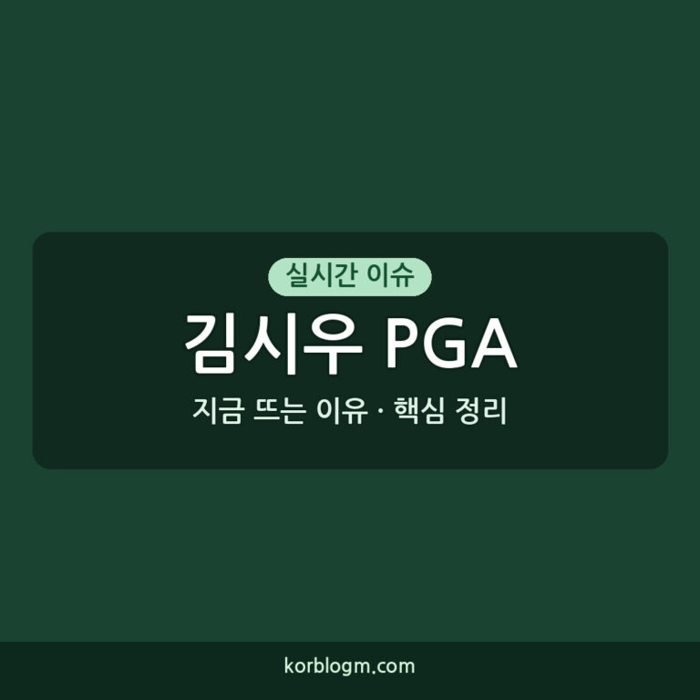 김시우 PGA 1차전 준우승 근황과 다음 일정