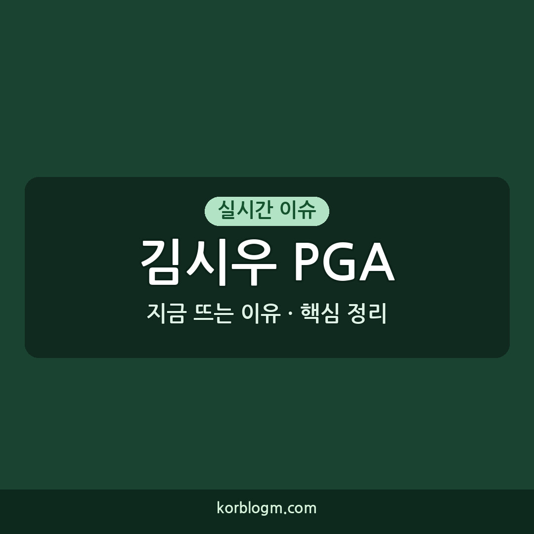 김시우 PGA 1차전 준우승 근황과 다음 일정