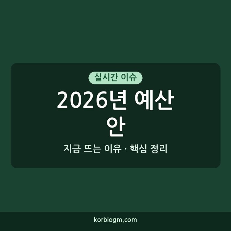 2026년 예산안 내년 예산 2026년 정부 예산안 역대 최대 695조