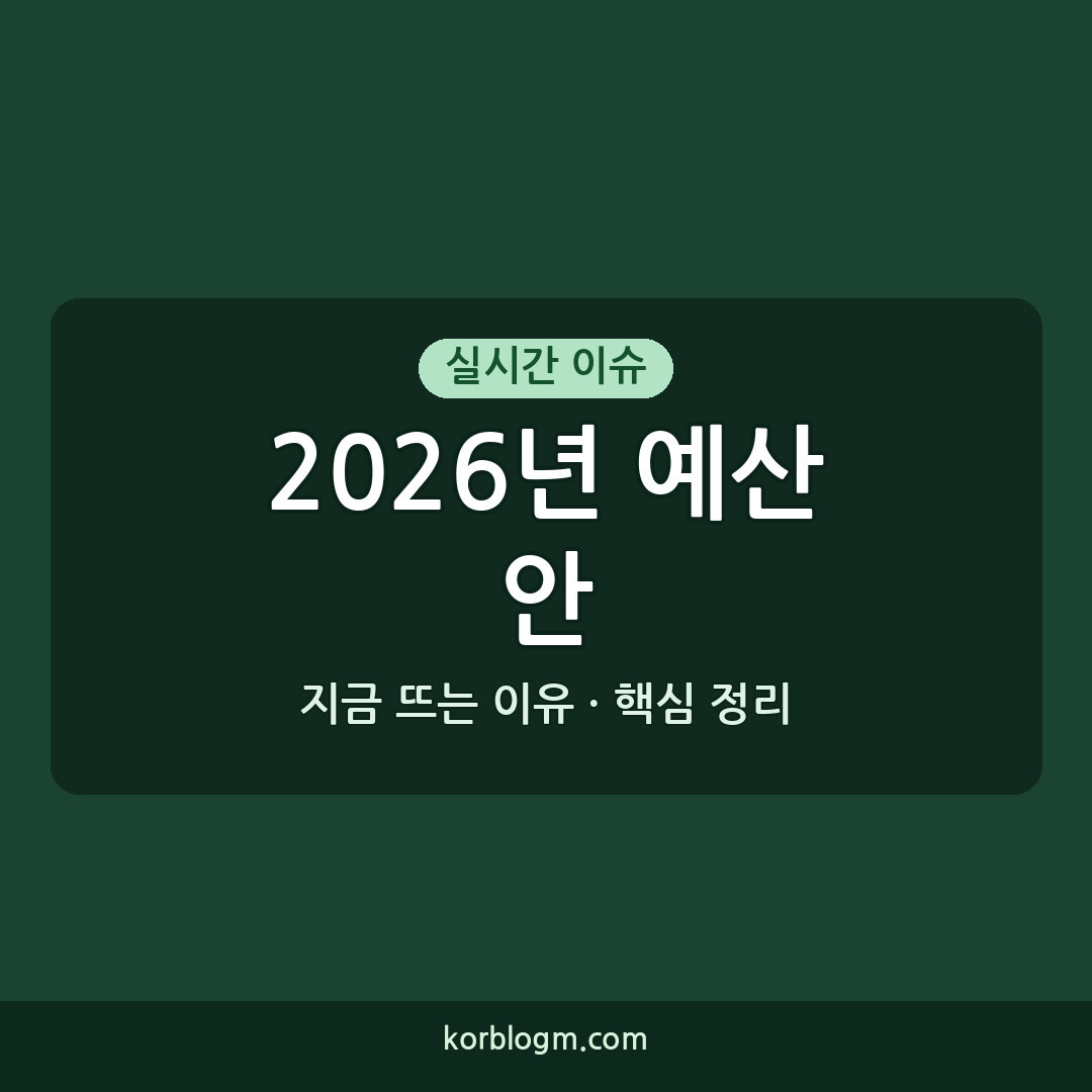 2026년 예산안 내년 예산 2026년 정부 예산안 역대 최대 695조