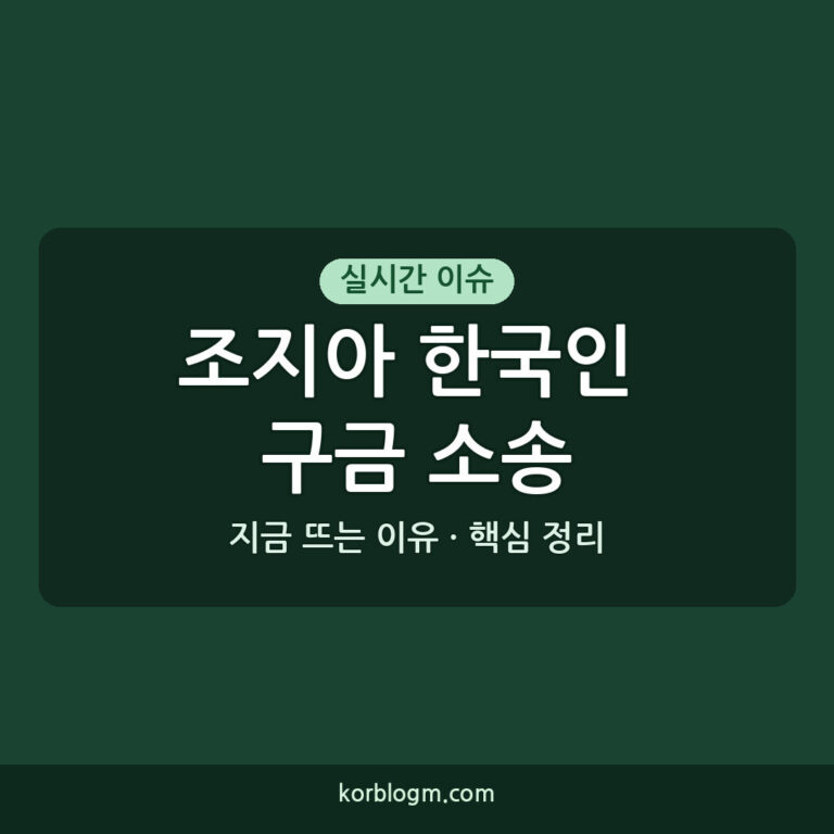 조지아 한국인 구금 소송 관련 상황 정리