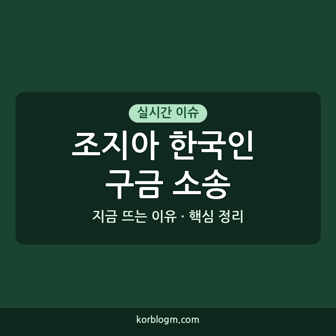 조지아 한국인 구금 소송 관련 상황 정리