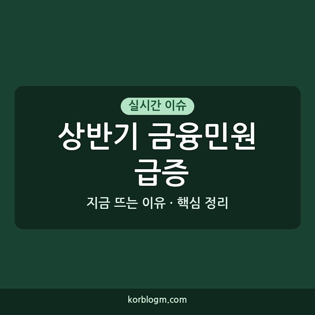 상반기 금융민원 급증에 따른 주요 이슈와 현황