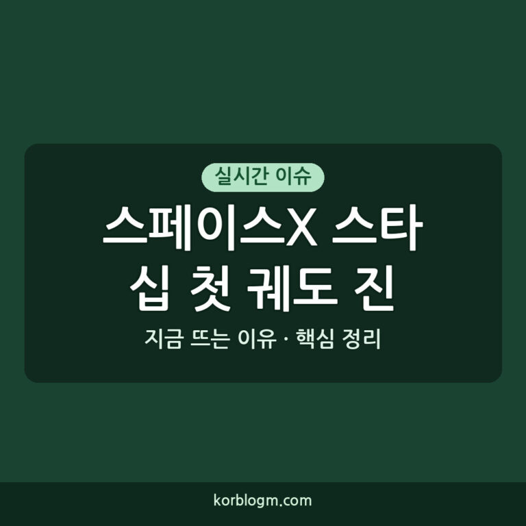 스페이스X 스타십 첫 궤도 진입 성과와 향후 일정