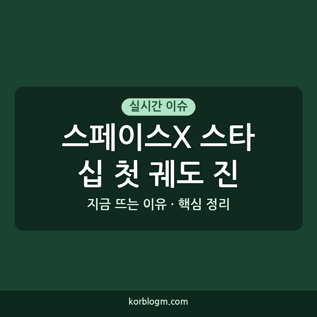 스페이스X 스타십 첫 궤도 진입 성과와 향후 일정
